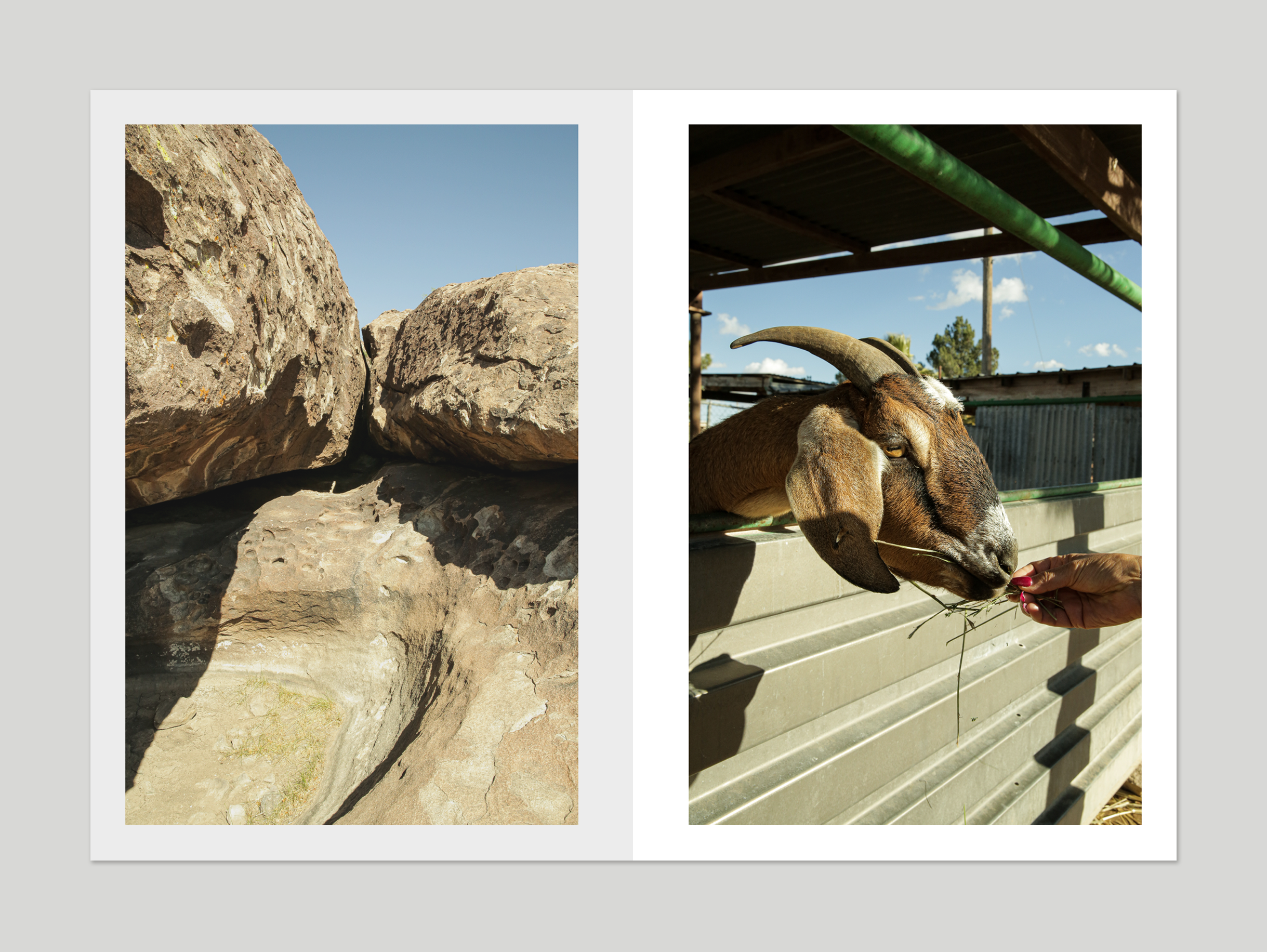 Life Is Tough...But So Are You